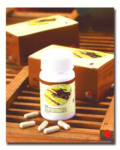 Cordyceps capsules