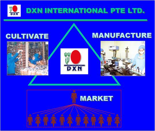 DXN Pharmaceutical Company